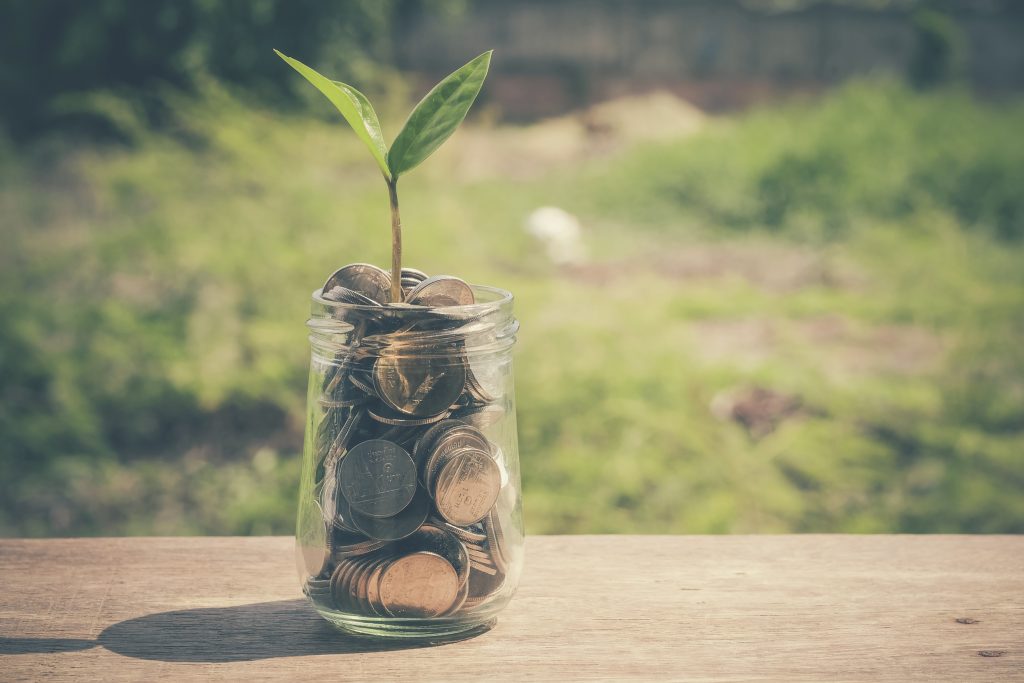 plant growing out of coins with filter effect retro vintage style